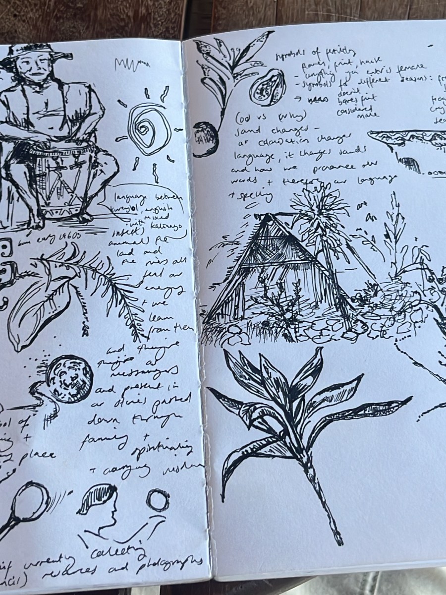 Abbi’s Dominican Discovery